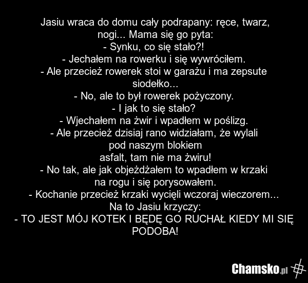 Jasiu wraca do domu cały podrapany: ręce, twarz, nogi... Mama się go pyta: - Synku, co się stało?! - Jechałem na rowerku i się wywróciłem. - Ale przecież rowerek stoi w garażu i ma zepsute siodełko... - No, ale to był rowerek pożyczony. - I jak to się stało? - Wjechałem na żwir i wpadłem w poślizg.…