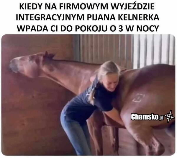 Koń