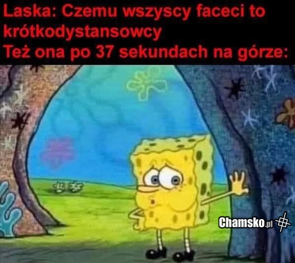 Krótkodystansowcy