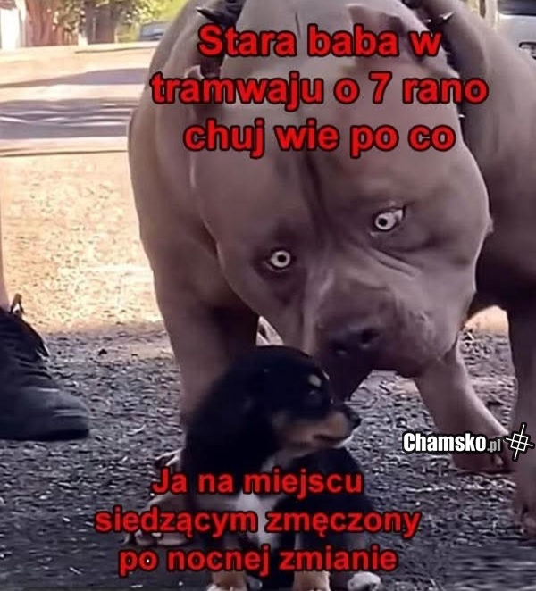 Stara baba