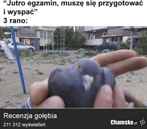 Egzamin
