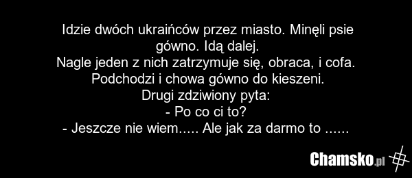 Idzie dwóch ukraińców przez miasto. Minęli psie gówno. Idą dalej. Nagle jeden z nich zatrzymuje się, obraca, i cofa. Podchodzi i chowa gówno do kieszeni. Drugi zdziwiony pyta: - Po co ci to? - Jeszcze nie wiem..... Ale jak za darmo to ......