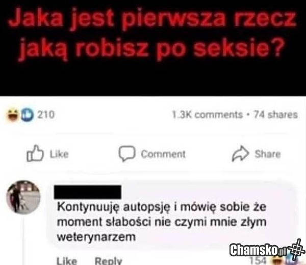 A Wy co robicie?