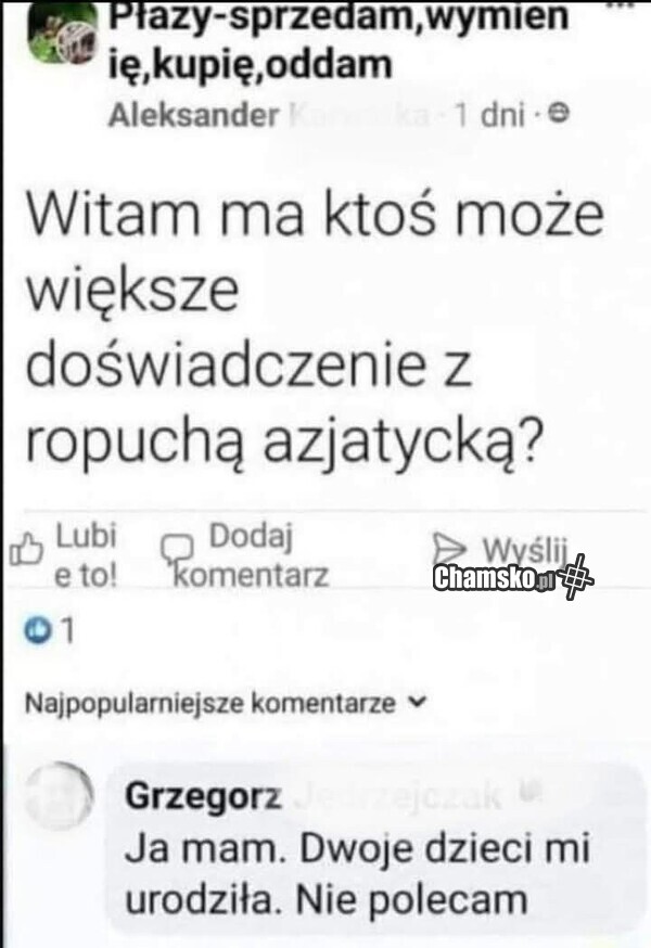 Ropucha