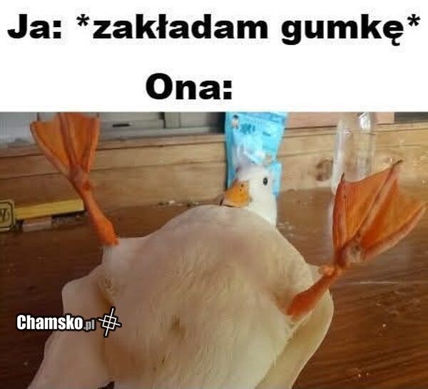 Zakładanie gumki
