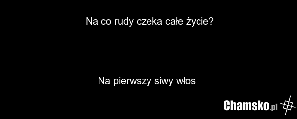 Na co rudy czeka całe życie? Na pierwszy siwy włos