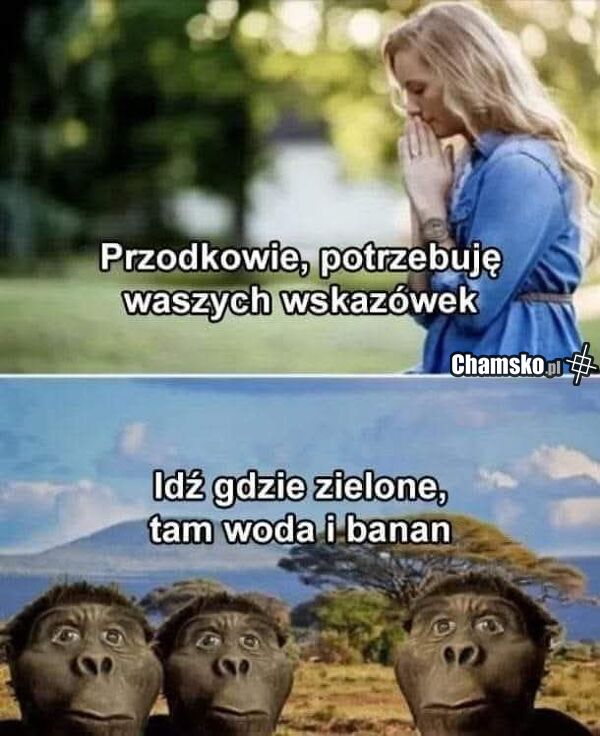 Wskazówki