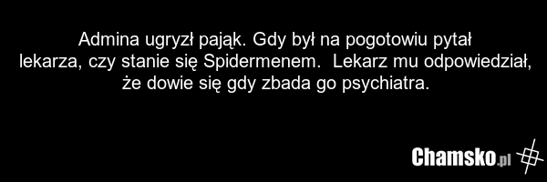 Admina ugryzł pająk. Gdy był na pogotowiu pytał lekarza, czy stanie się Spidermenem. Lekarz mu odpowiedział, że dowie się gdy zbada go psychiatra.