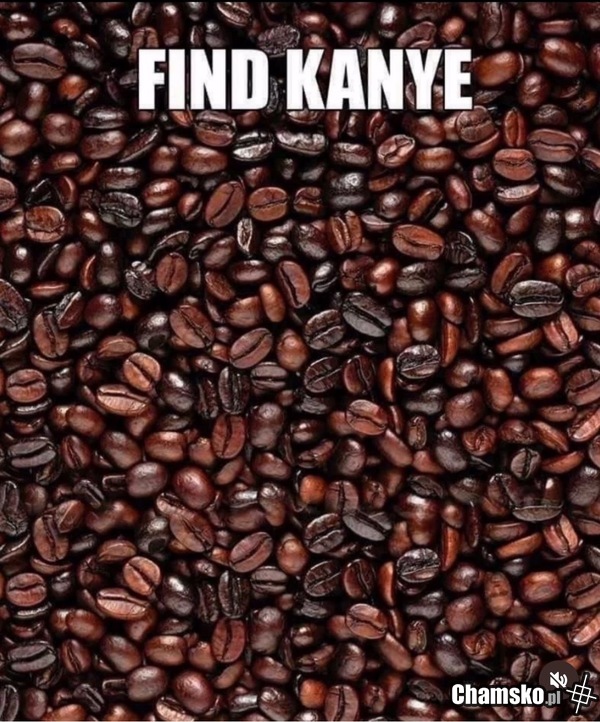 Find Kayne