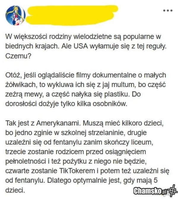 Demografia po amerkańsku
