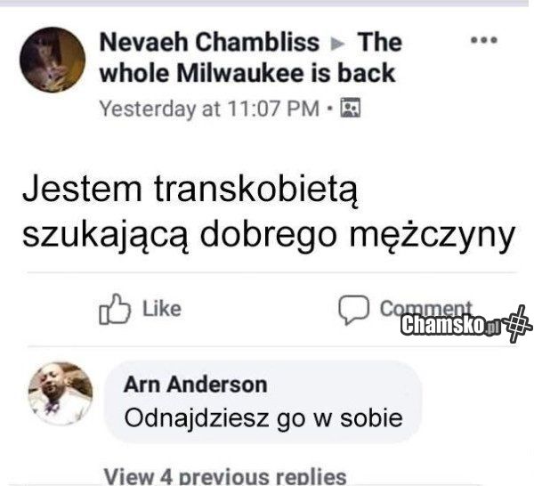 Szukam
