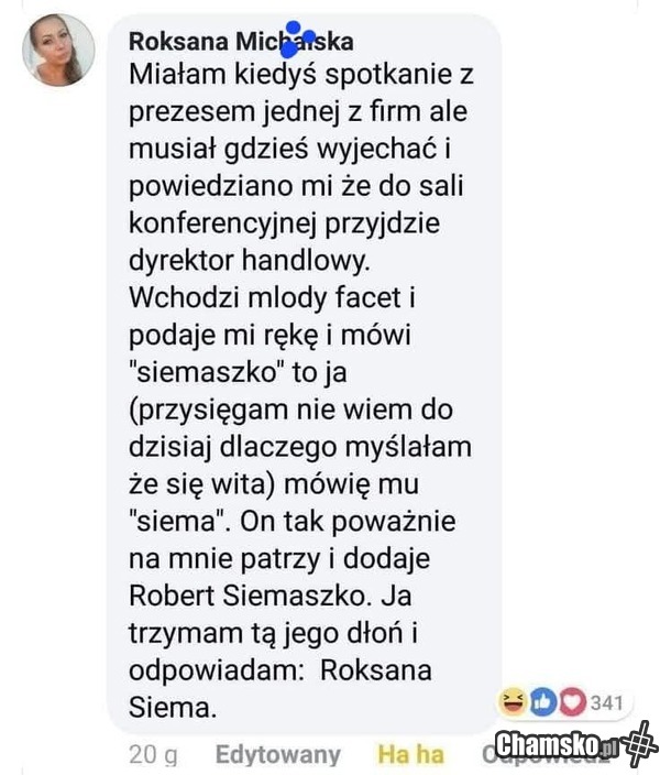 Wybrnęła
