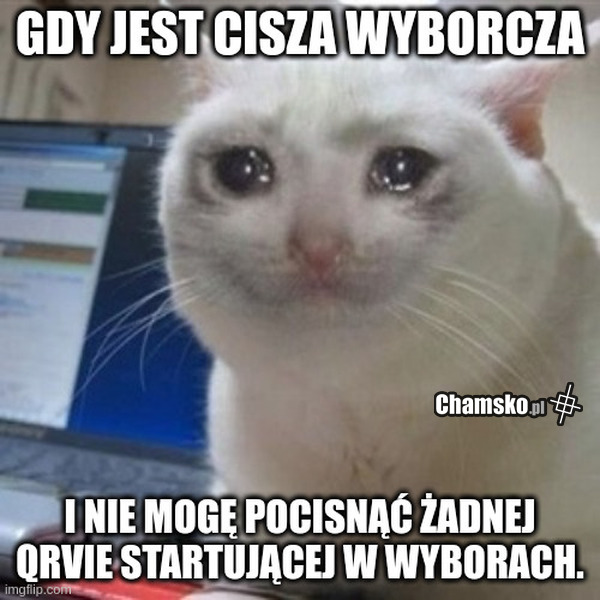 Wybory.