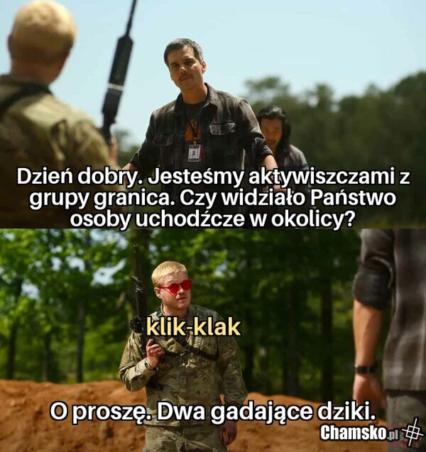 Aktywiszcza