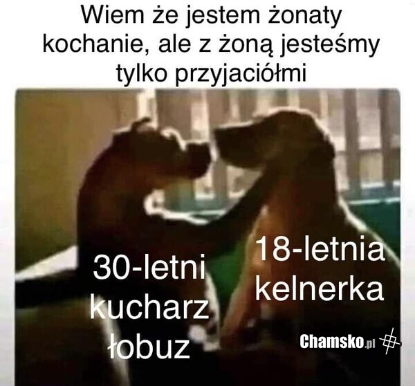 Przyjaciele
