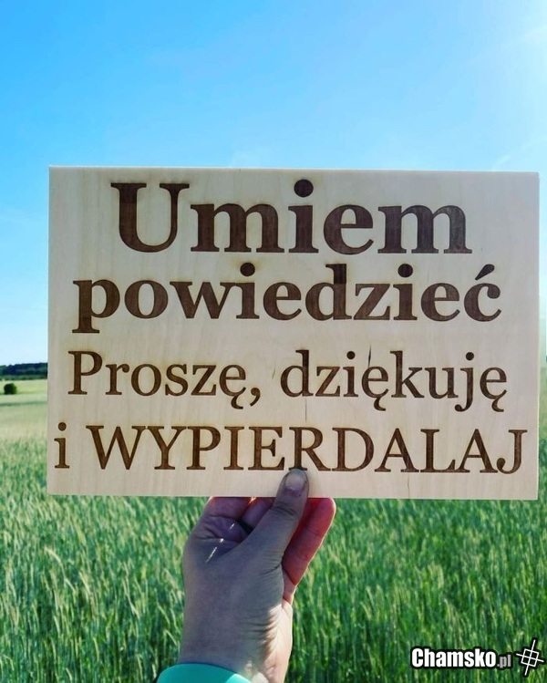Polski język