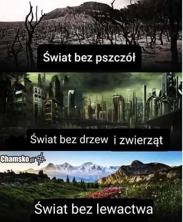 Świat bez lewactwa