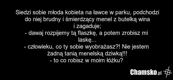 Siedzi sobie młoda kobieta na ławce w parku, podchodzi do niej brudny i śmierdzący menel z butelką wina i zagaduje; - dawaj rozpijemy tą flaszkę, a potem zrobisz mi laskę... - człowieku, co ty sobie wyobrażasz?! Nie jestem żadną tanią menelską dziwką!!! - to co robisz w moim łóżku?