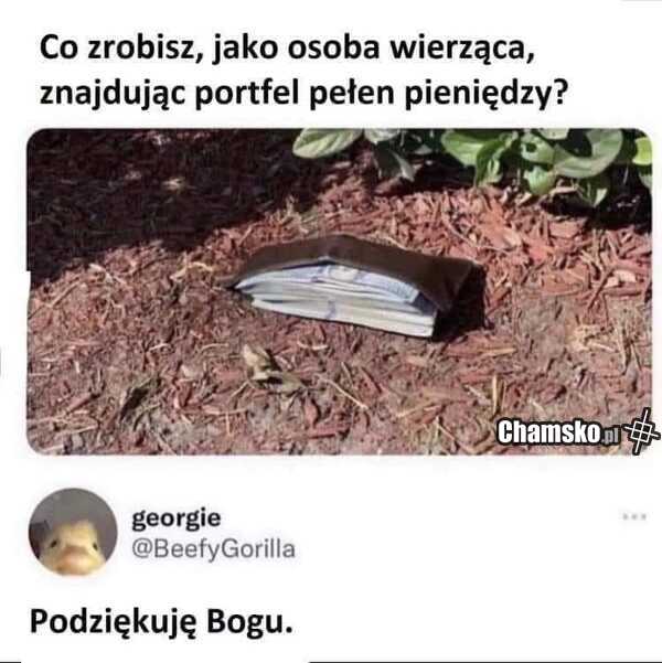 Portfel