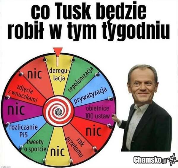 Co tfüsk będzie robił w tym tygodniu?
