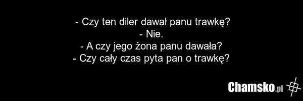 - Czy ten diler dawał panu trawkę? - Nie. - A czy jego żona panu dawała? - Czy cały czas pyta pan o trawkę?