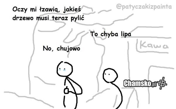 Lipa