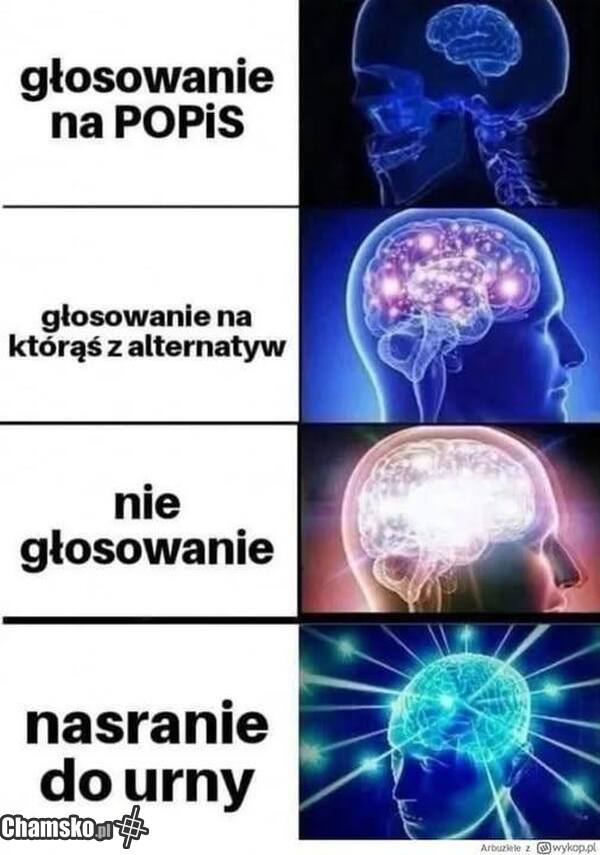 0_1_127777_Nasranie_do_urny_przez_Grzybi