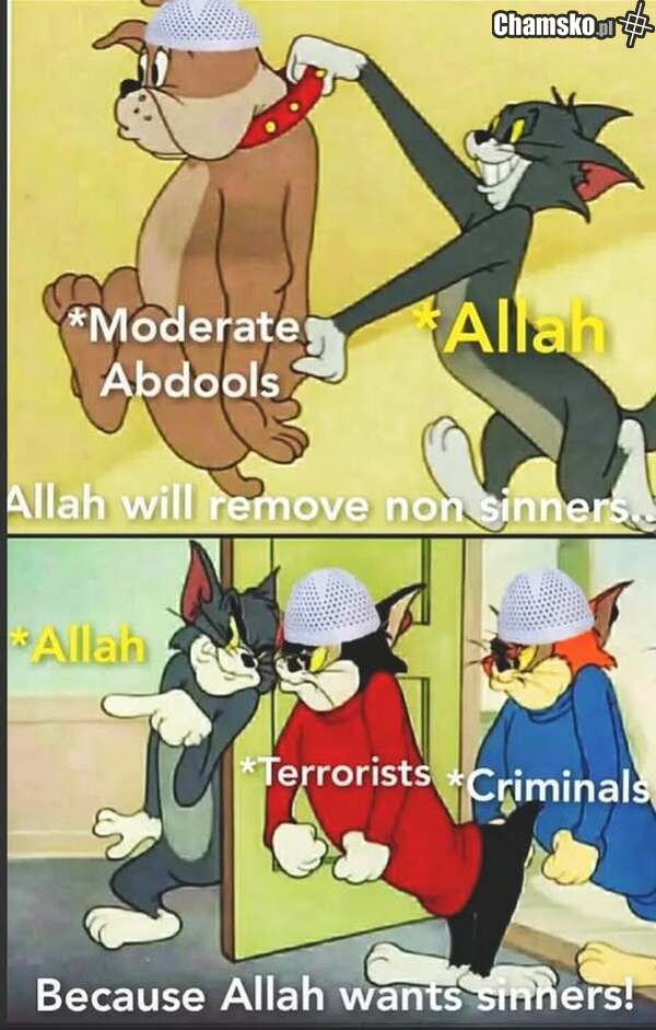 Allah chyba woli terrorystów i kryminalistów od umiarkowanych Abduli...