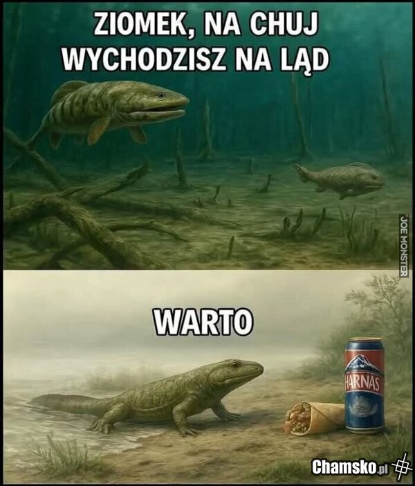 Hehe
