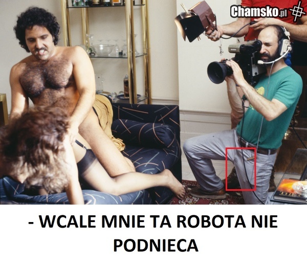 yebać pis