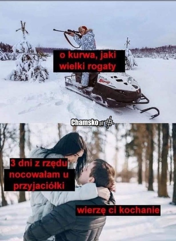 Rogacz