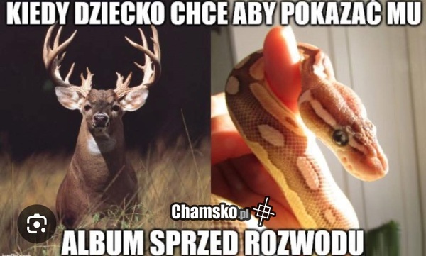 Album ze zdjęciami