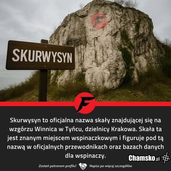 Skurwysyn