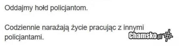 Hołd