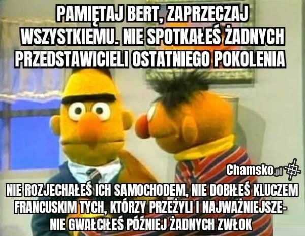 Wszystkiemu zaprzeczaj
