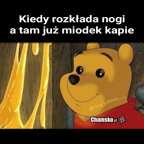 miodek