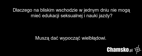 Dlaczego na bliskim wschodzie w jednym dniu nie mogą mieć edukacji seksualnej i nauki jazdy? Muszą dać wypocząć wielbłądowi.