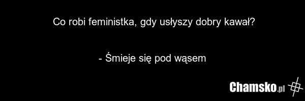 Co robi feministka, gdy usłyszy dobry kawał? - Śmieje się pod wąsem