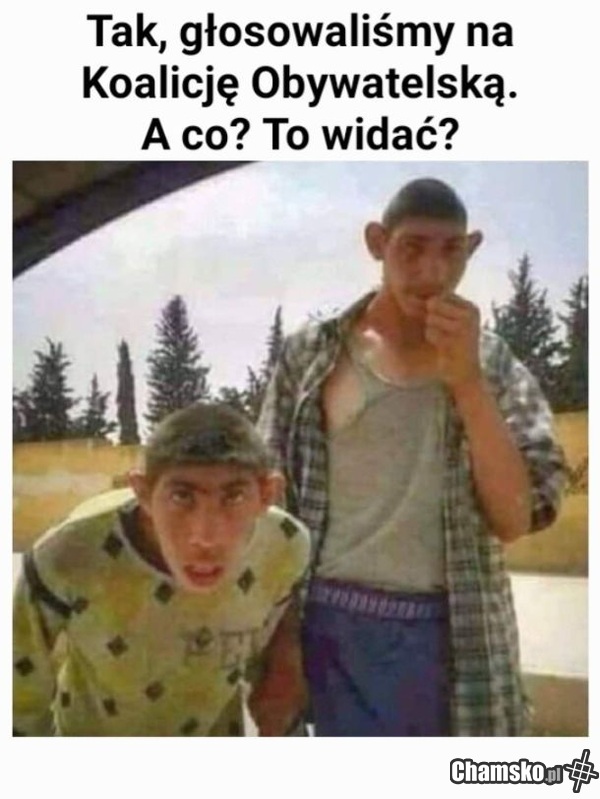 Wyborcy trzaska - stare cwele i obciągacze UE.