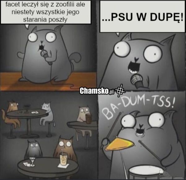 Leczenie z zoofilii