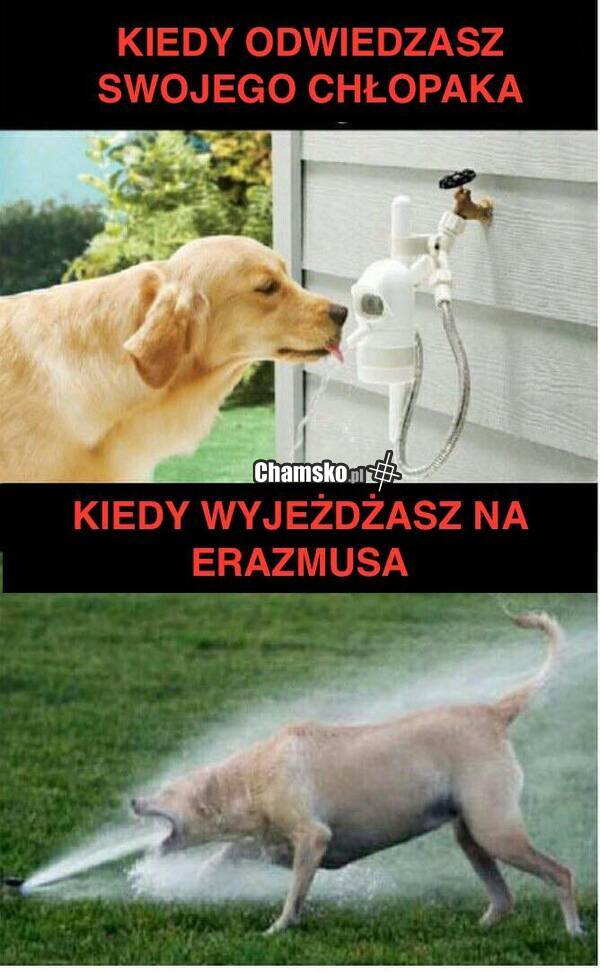 Różnica