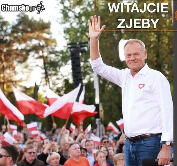 Elo, kurwy