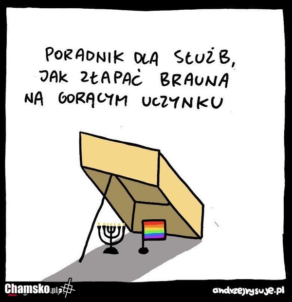 Jak złapać Brauna