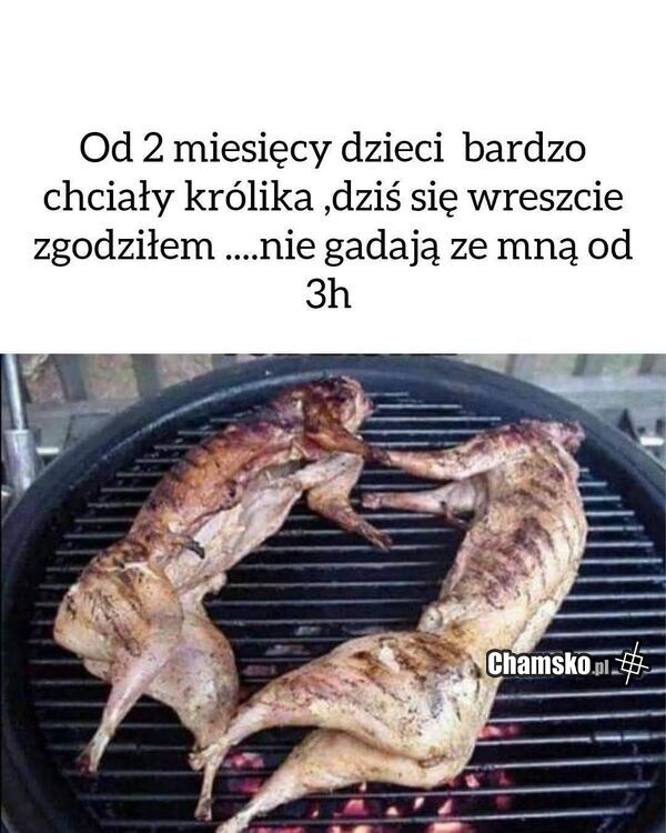 Króliki