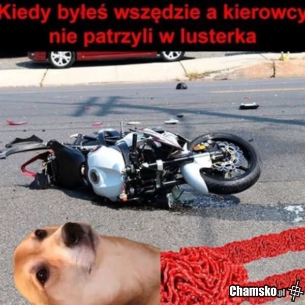 Motocykle są wszędzie