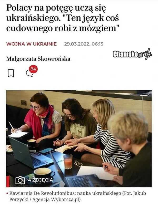 Ja mam kilka pomysłów na to, co to może być, to "coś cudownego". Szmatławiec michnika