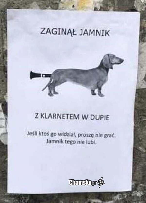 Jamnik