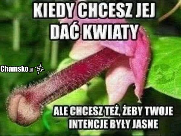 Kwiaty