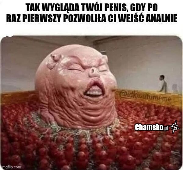 Pierwszy anal