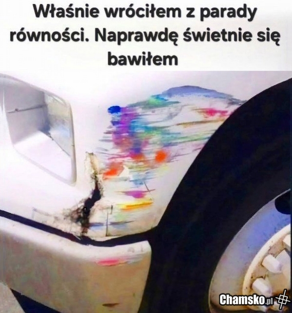 Świetna zabawa